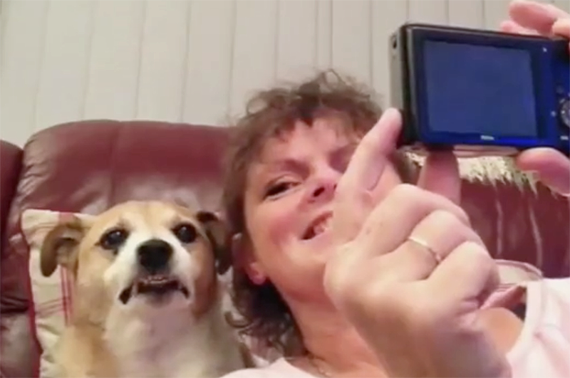 dog takes selfie