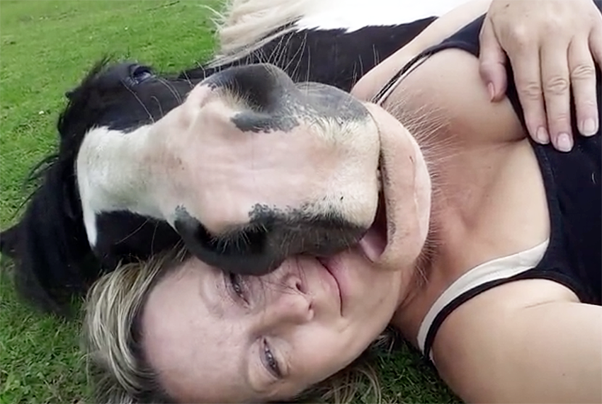 horse naps with human