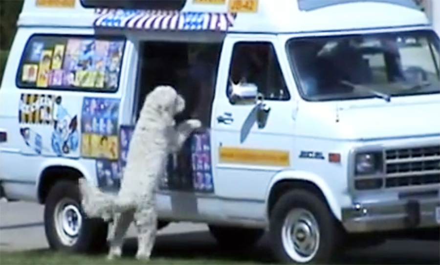 charlie the dog at ice cream truck